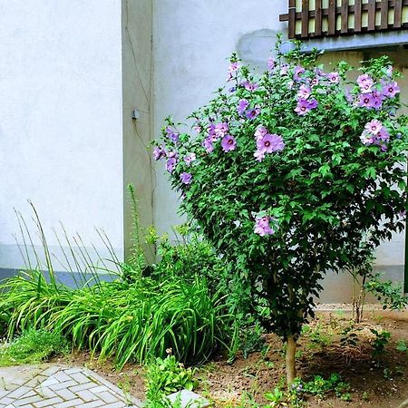 Room In City Center Halle With Shared Bathroom & Kitchen - Free Wifi, Netflix, Ipad & Ground Floor 외부 사진